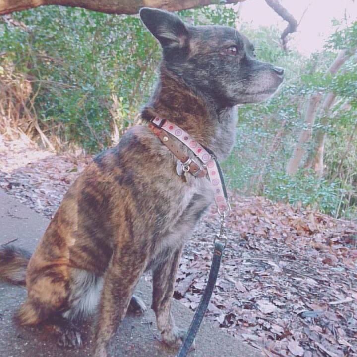 204e42da 32a7 40b2 b3be 3889be770e02 1549027703382