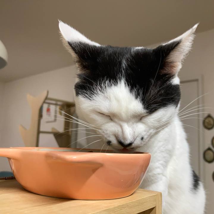 204e6b76 73e7 4b1a 825c 067c69ef0251 1758575230691