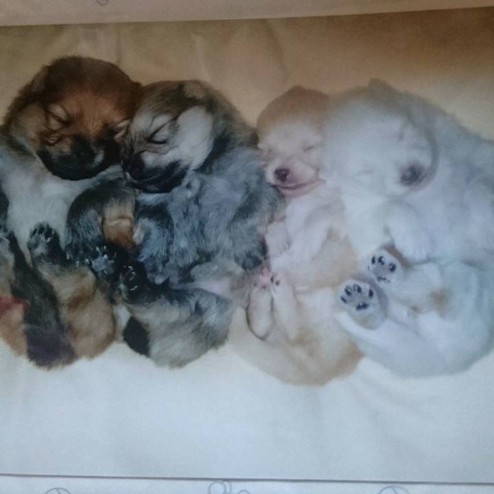 204e8c32 4f83 40db 8c01 c8872bfbf523 1522190462953