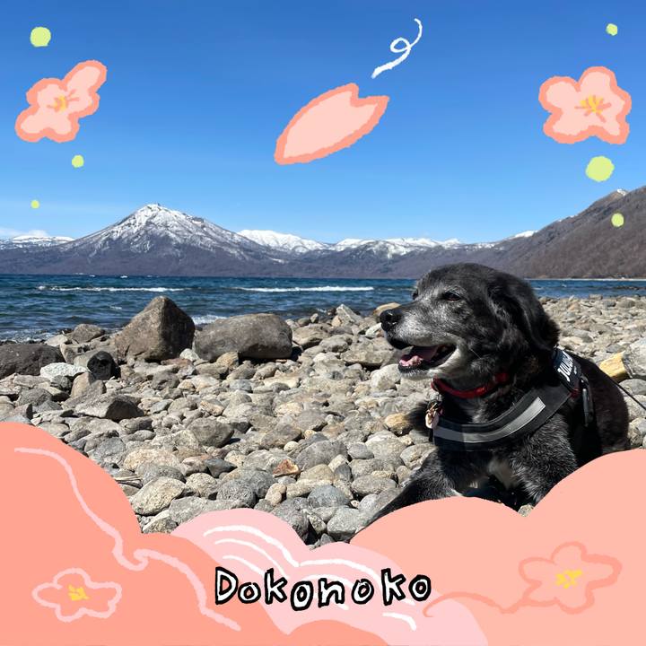 204e9407 c972 49b7 89b1 b98b9a0e1ae9 1775647150178