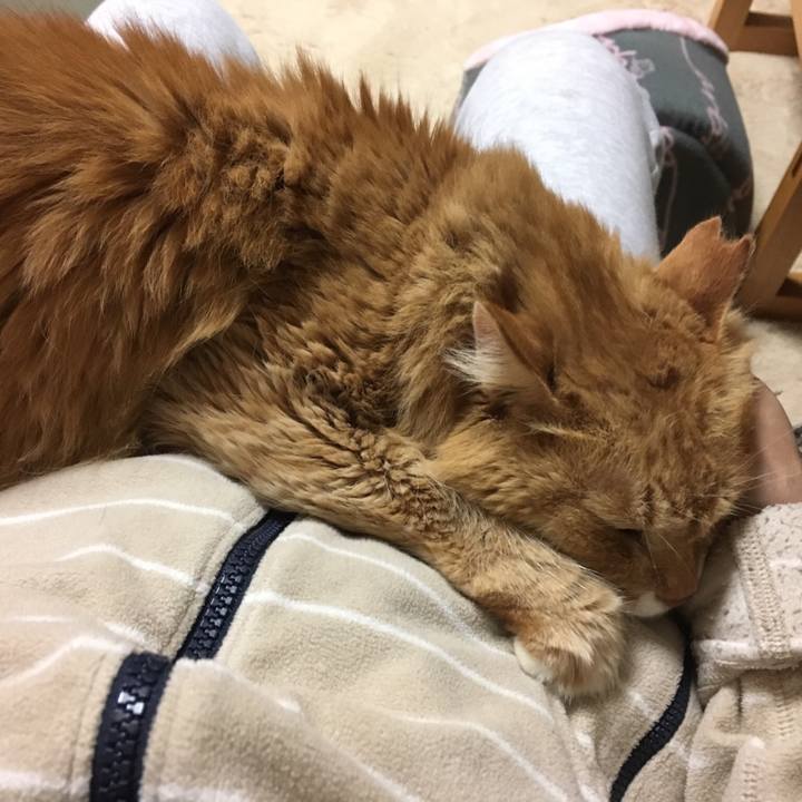 204ea00f bdcf 4bea 9d0a e6d1d3898eee 1508673132638