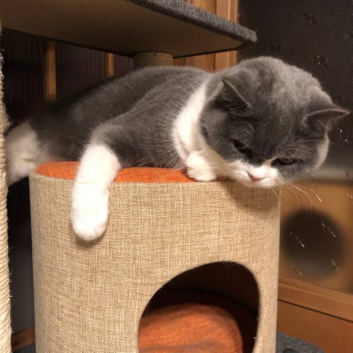 204eabf8 c5a9 414a b36e fdceee0f8d43 1581316720370