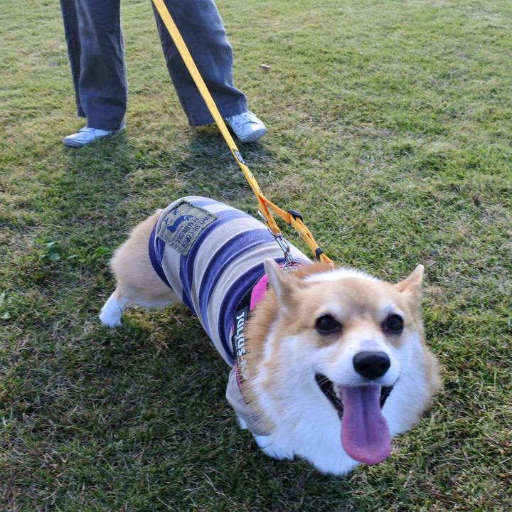 204ecc86 a272 43f8 ab89 712b4507902b 1635944129358