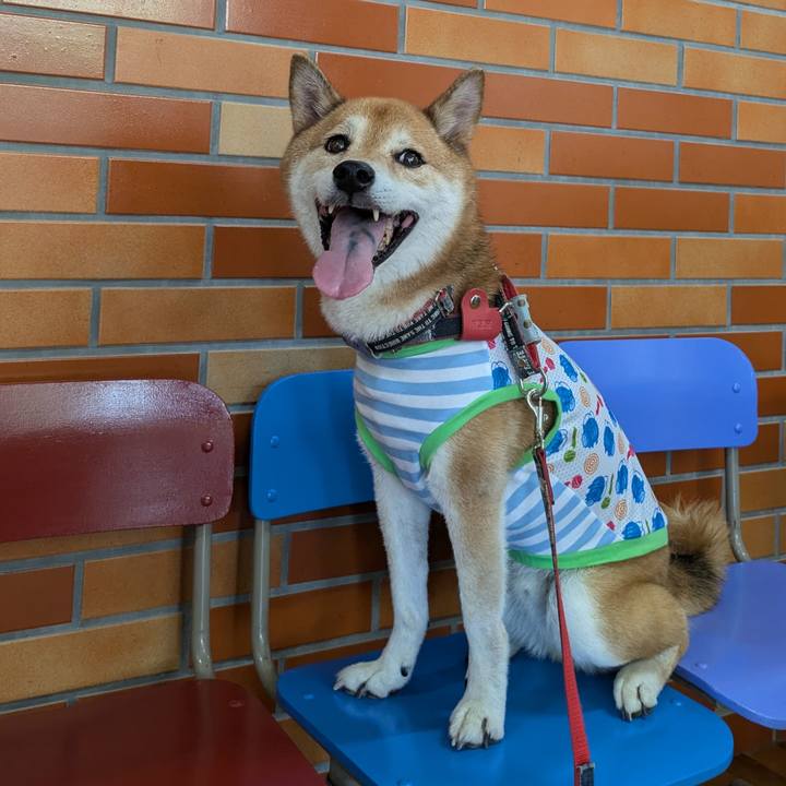 204eed62 f494 4295 a248 7789182335c7 1722848529169