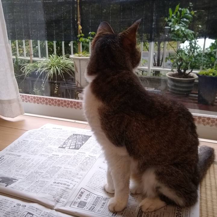 204ef6a1 c498 4ce2 9ec2 446673555050 1560602359370