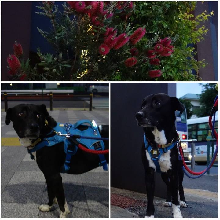 204f17a9 6781 4c71 9388 d1394d99c313 1620731328801