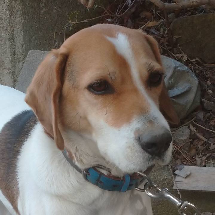 204f3e55 7404 4a09 a276 eddf023d8403 1612525126815