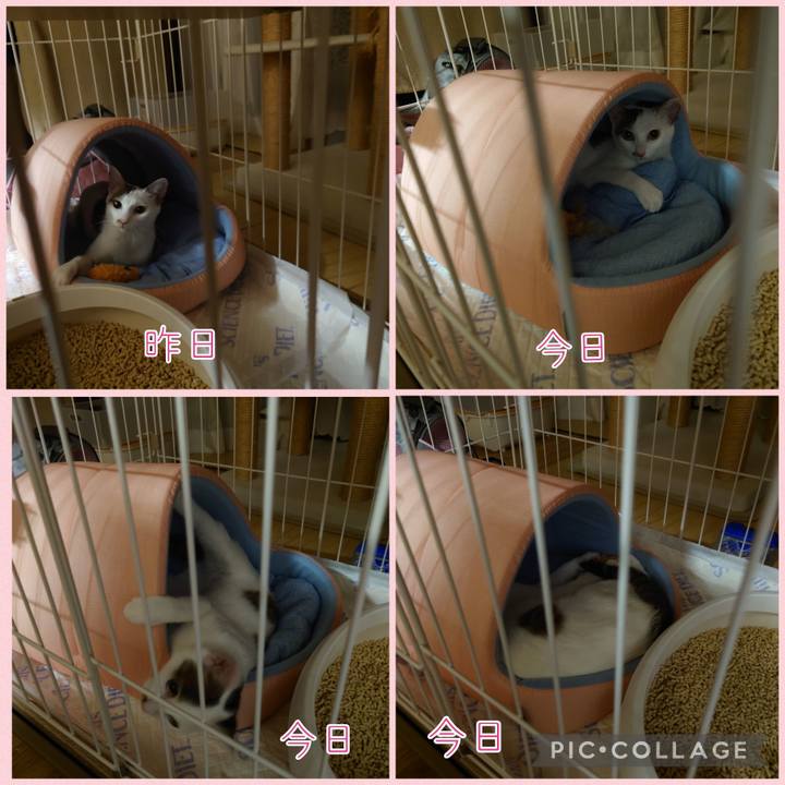 204f45cd 181a 4238 9223 7f87060ee19b 1690119494953