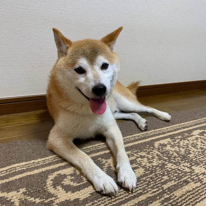 204f73ec 0b94 4710 be1b bafe0c76073c 1660553930232