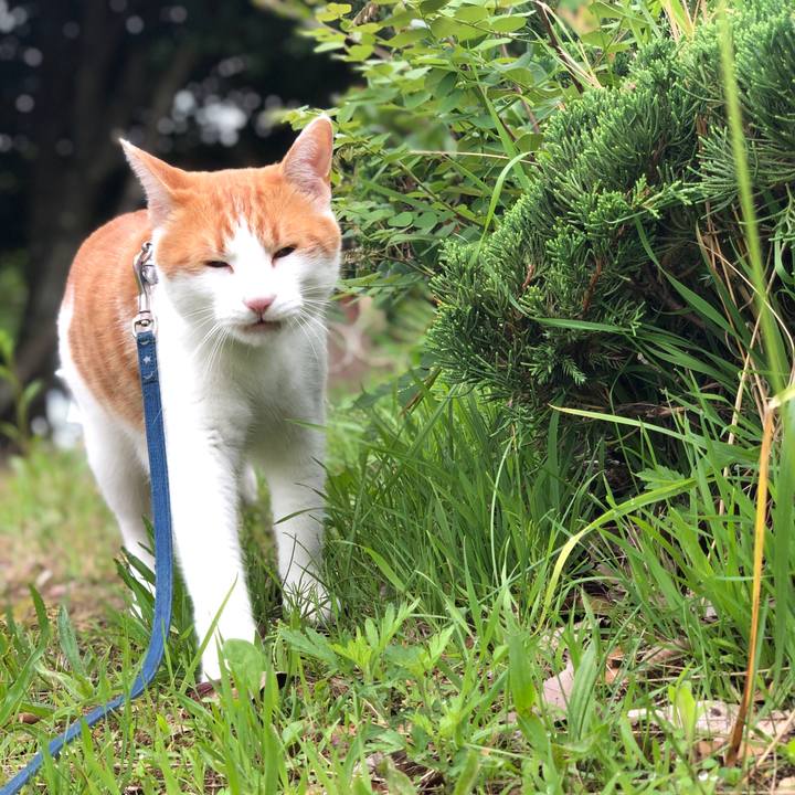 204f8b02 7d1c 47c6 bdb2 de86fb0cf8fb 1563411053490