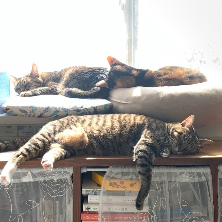 204fc4d9 c76d 417c 95b0 e8d6502db0be 1776181934514