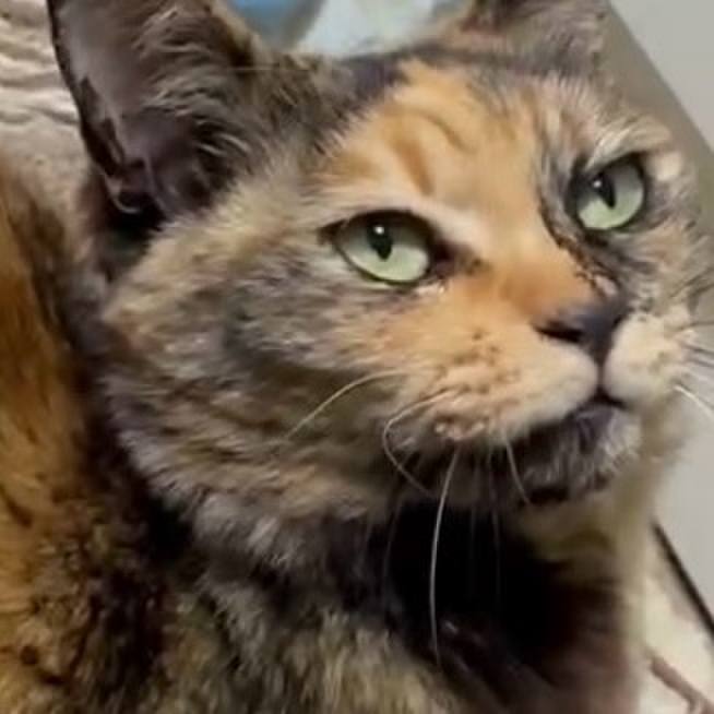 204fd679 7ca2 4c87 ac31 16c70814d301 1773002497011