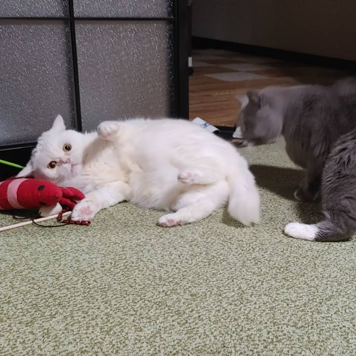 204fdc68 d866 4aa1 9880 084d33bf2c56 1679668487758