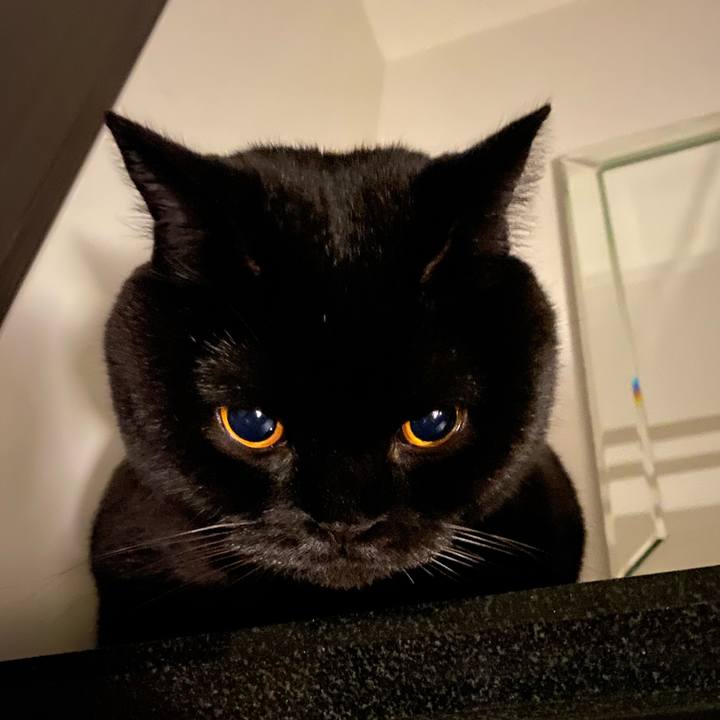 204fe16a 9404 4111 b6bd 04f2ef5607a9 1695390774033