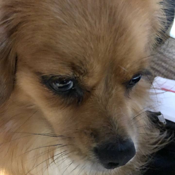 204fe797 9926 4a85 97a7 6c0022f07f3d 1566510709282