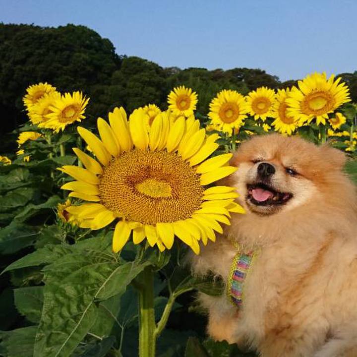 204ff250 eb80 4267 8b6a ee48e75fb983 1532219512211