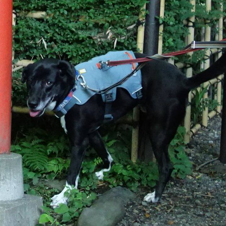 20503651 38f3 400d b32a 0ce34dc685bf 1717809231460