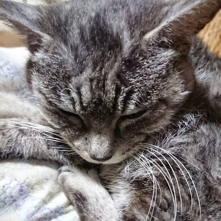 2050443e dc51 4290 8e7e c3d70f45ec19 1580301573046