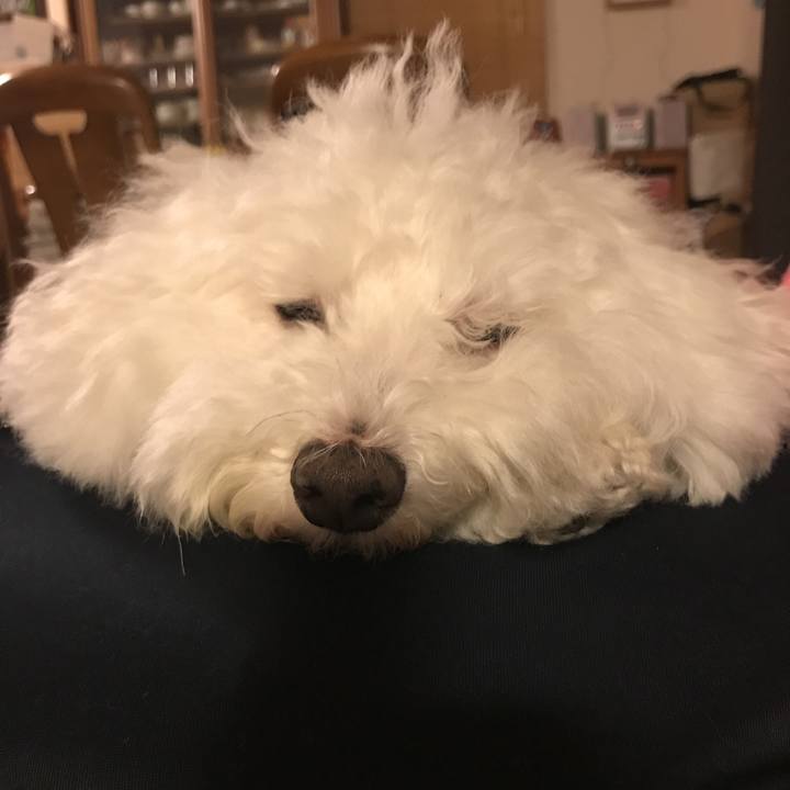 205048b8 2361 4826 b511 495187b8c602 1539765468690