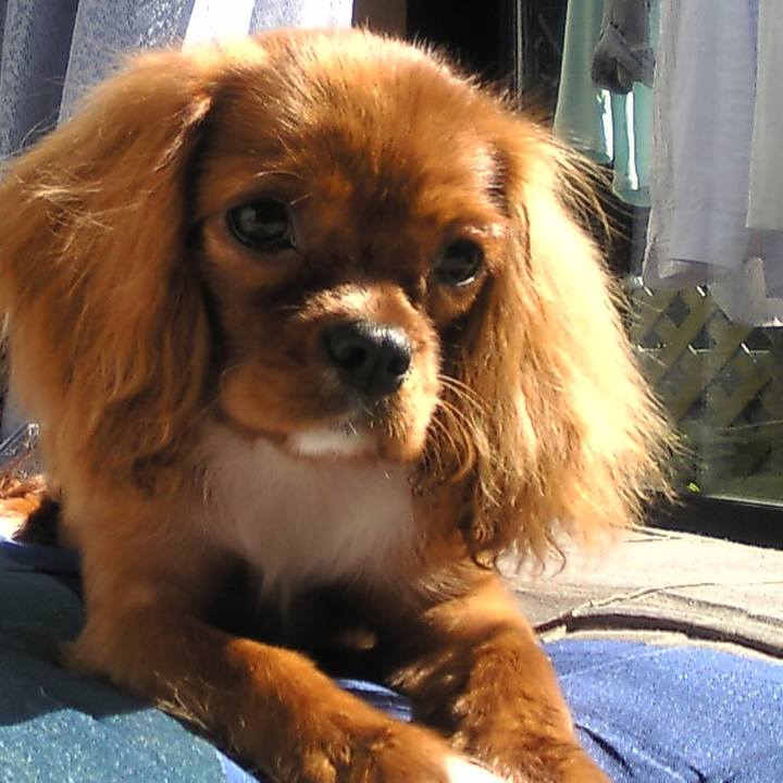 20504c19 4ca8 4054 b7f2 269517b64ceb 1516024668650