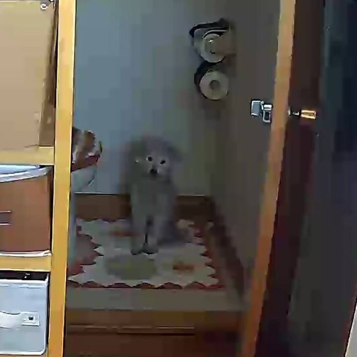 2050921d d916 4295 a64e b038b8cb5e5e 1644200060968