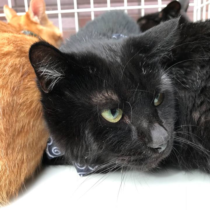 2050b8b5 868c 4a89 865a 263979af3d99 1537682756306