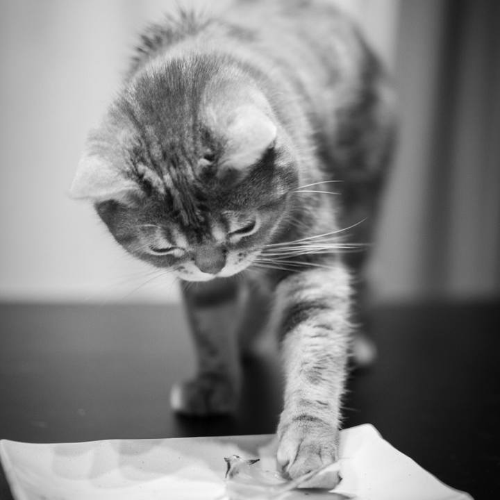 2050ca01 fbf8 4a12 84f5 94563beaaa2d 1557978885623