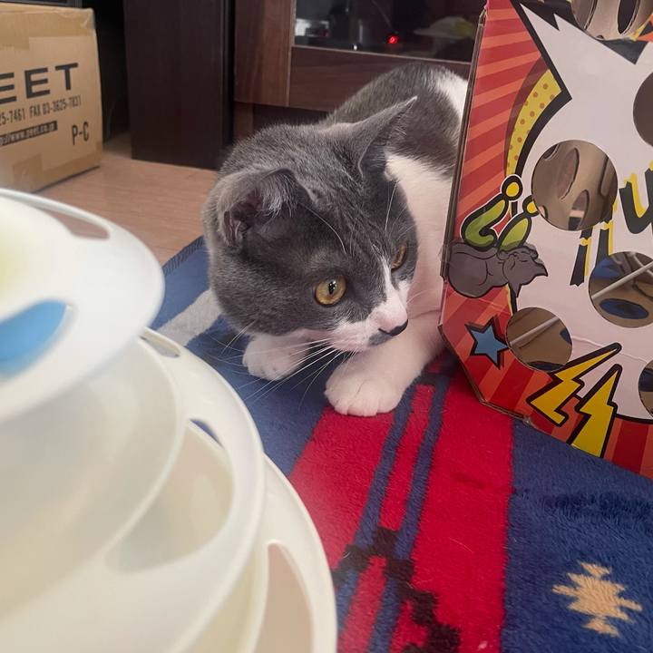 205138f3 cbef 4b79 bf5d f3cffe6f54d5 1633228587220