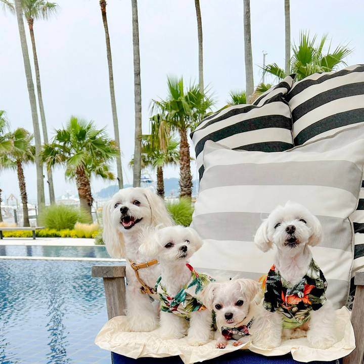 20514456 63bd 4d1e 9504 85c432457d63 1687084149234