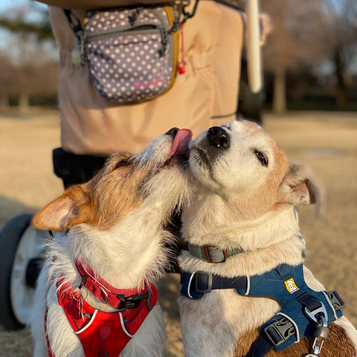 205150c7 55c3 4865 9fde dd288da30caf 1646082998946