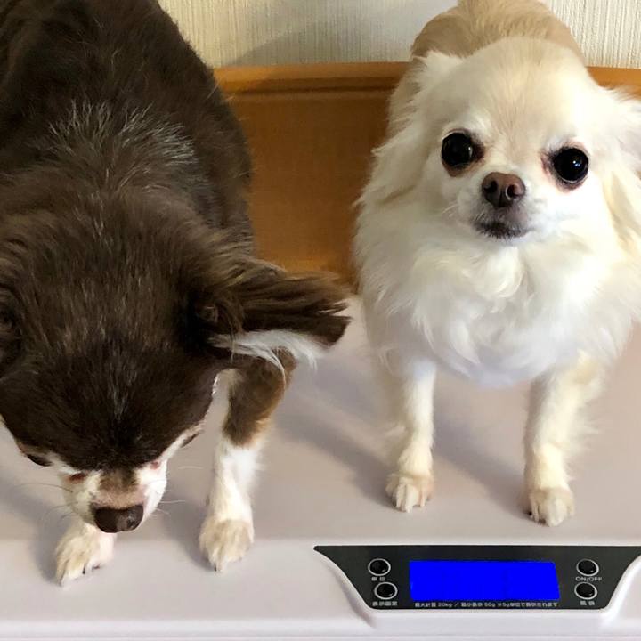 2051793c dde6 4937 ad68 347a6eeb0b54 1530057955358