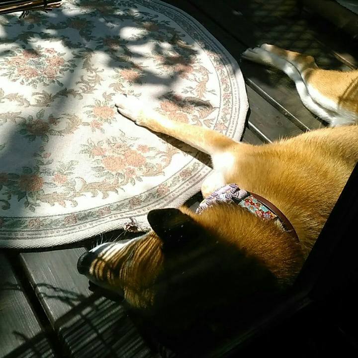 20518167 f79d 4740 98cc d1daed2bbef8 1536111188138