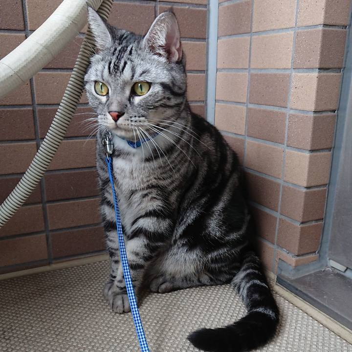 2051912c 0b67 47b0 9e36 bf88f267381a 1536217445126