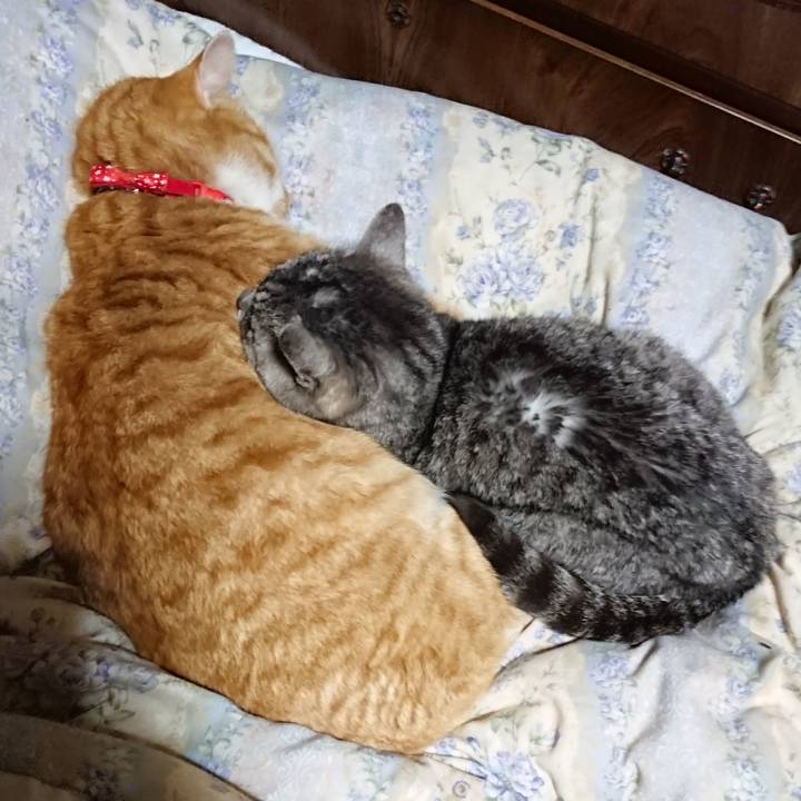 2051948d 3561 43ad 90db dcee15f60699 1579004218991