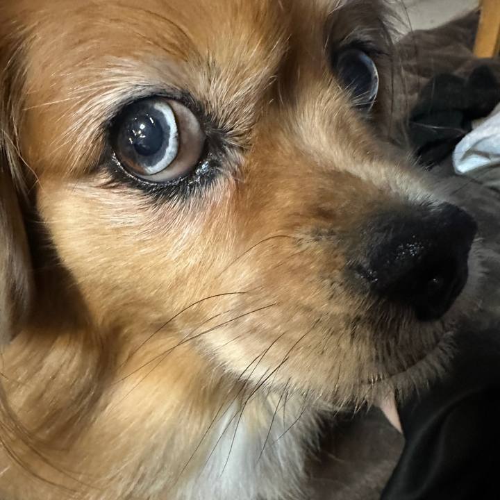 20519a32 5b08 4093 9924 b8957a29bd4b 1764106257181