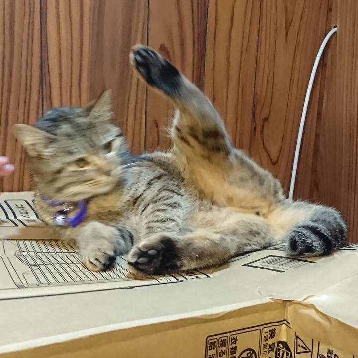 2051b47d 88dd 4ab7 ac70 1fc4f6d9d020 1549973934306