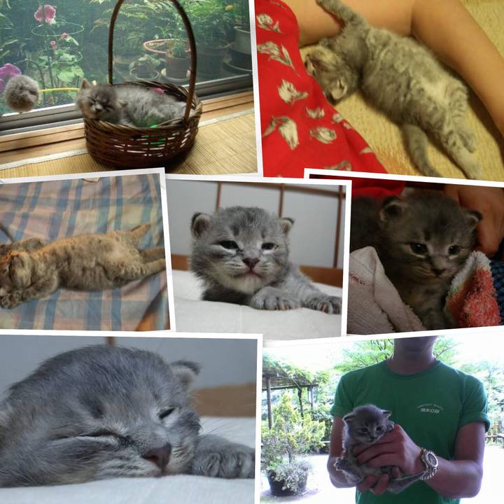 2051d88e 6a67 4f8f 9d27 46a53dad74b5 1773999645519