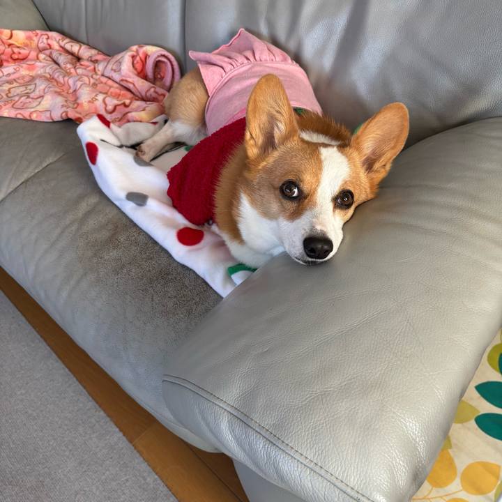 2051eb63 3e87 45c7 ac70 004197261965 1766013803817