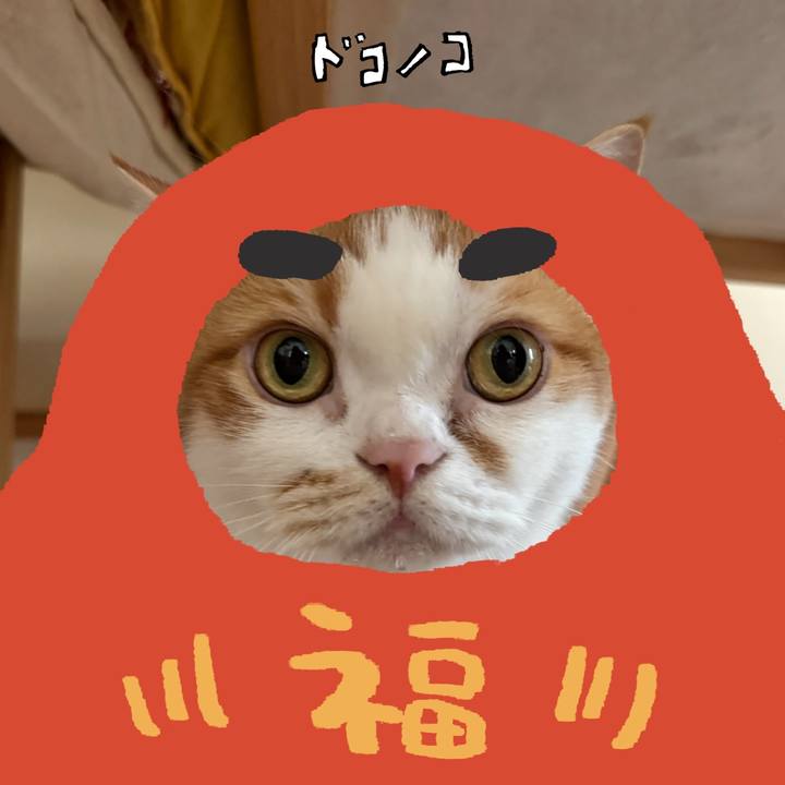 20524268 5a0d 4380 8517 dca1cbfe4670 1771823437363