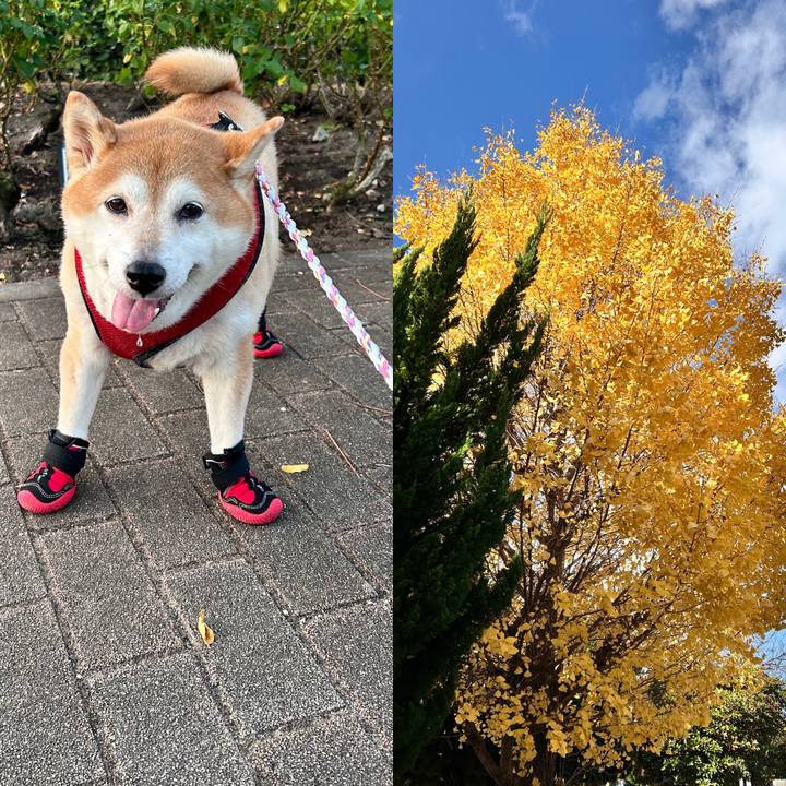 20524f27 997e 4e2b 9571 52023cc67704 1733127894121