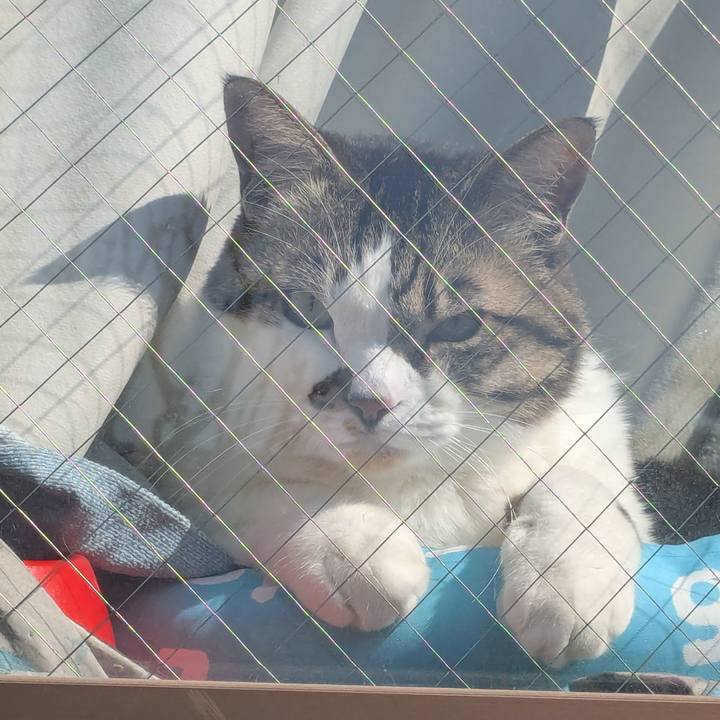 2052557c 52fe 4911 9f26 36925d5fe0ce 1740893914081