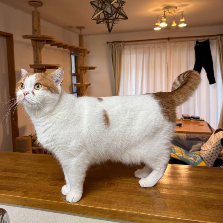 205260e1 8969 4070 b48a e6254b3872df 1766535464989