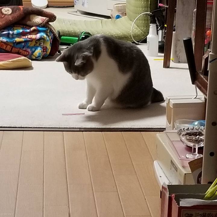 2052ab60 bd50 43c8 9c1f 3c22a63d5198 1652367003130