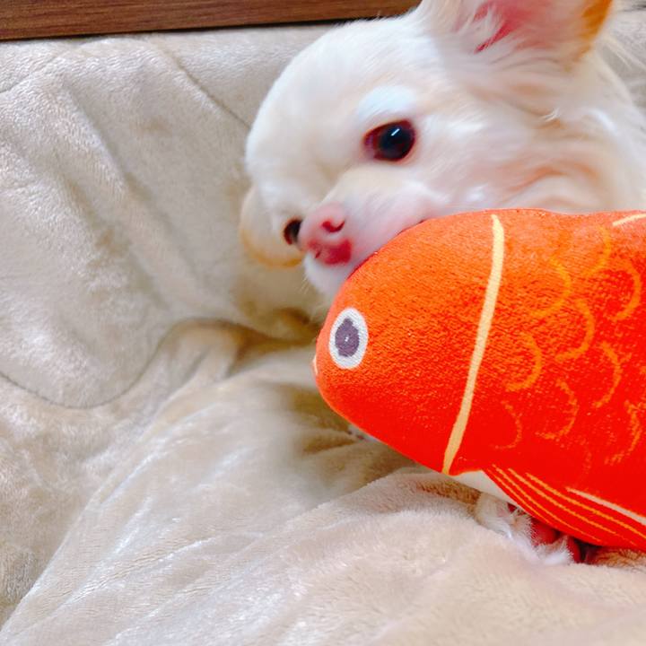 2052bb3f 9058 413f a850 dde63ff90bd0 1644835836107