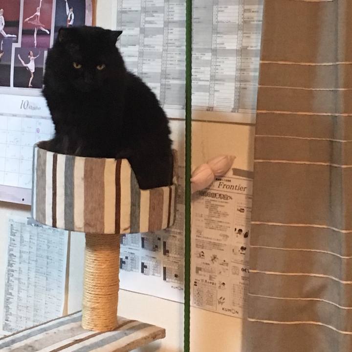 2052f438 fe85 4b22 a4bc 9060d5b5974e 1539258156879