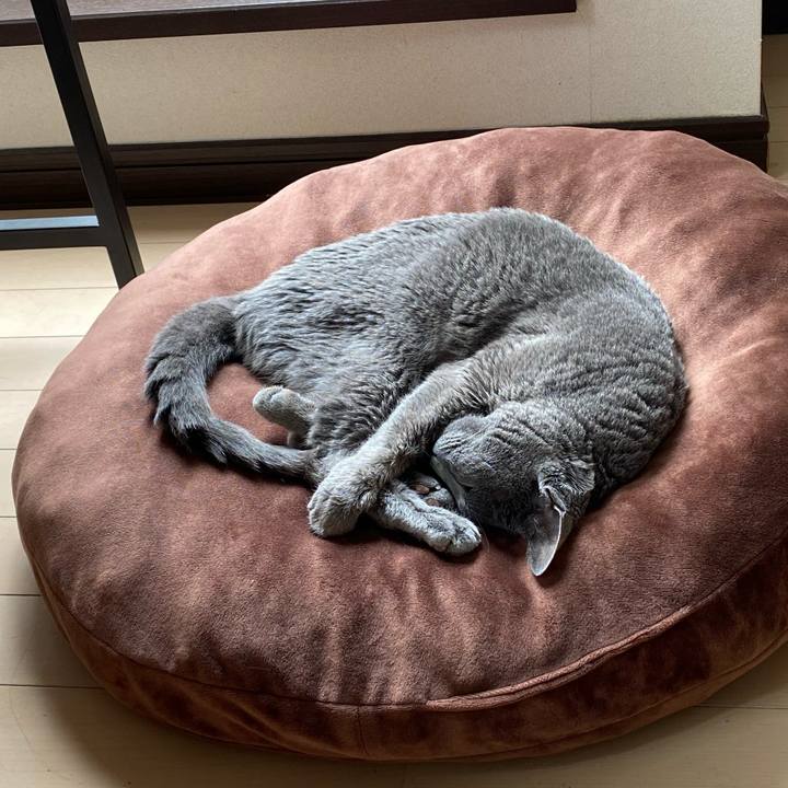 20531935 251c 4b2e 96db 6fa4846b1518 1625535658719