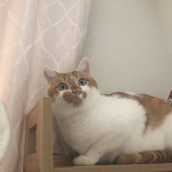 20534428 cd01 452d 807b b058b21568ef 1590884558590