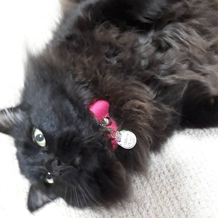 205345b0 f1d7 4838 96c0 b1fec71180da 1524312971044