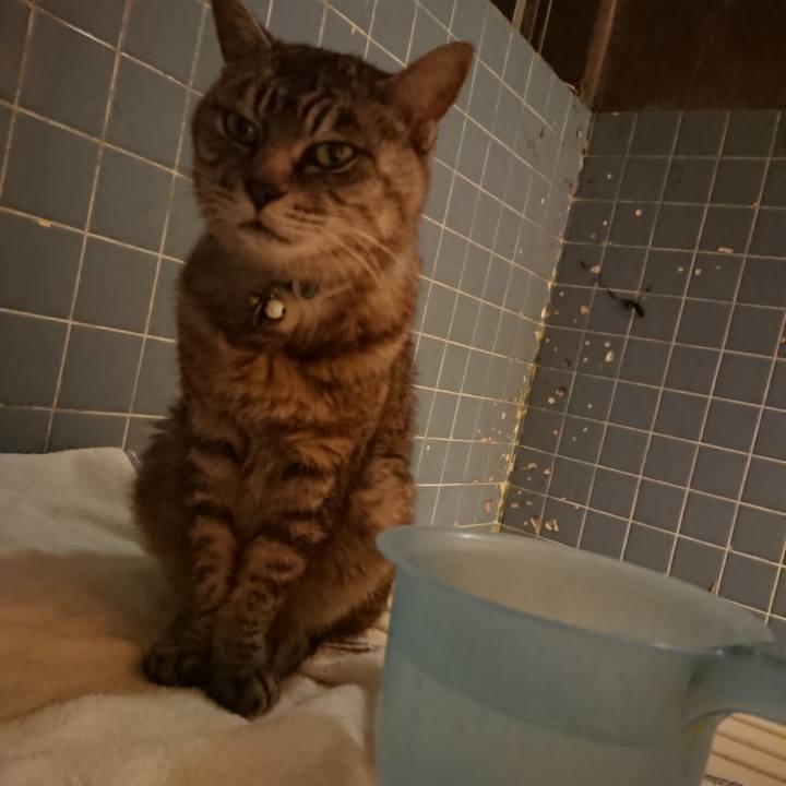 20536c3b 9ee7 409b b0cd c1f948e1ebed 1570009099805