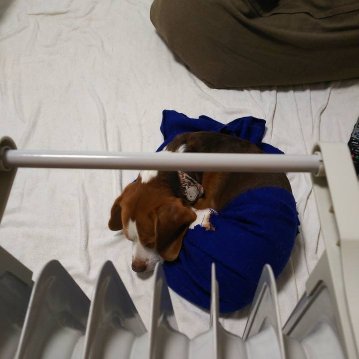 20536c6d 25f6 4fe2 b5e3 5e4ece6c8391 1575691590081